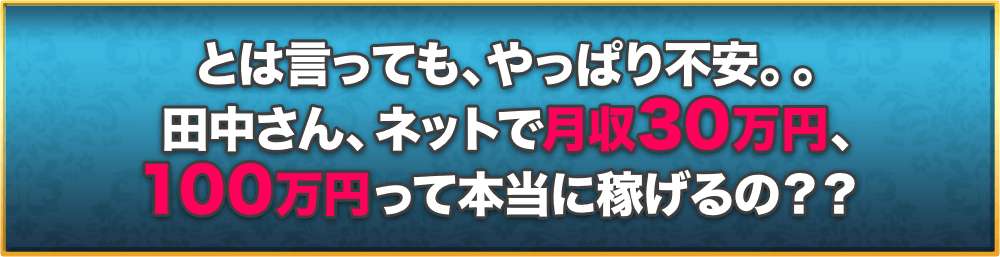 とは言っても、やっぱり不安。。田中さん、ネットで月収30万円、100万円って本当に稼げるの？？