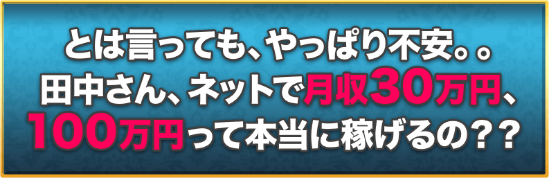 とは言っても、やっぱり不安。。田中さん、ネットで月収30万円、100万円って本当に稼げるの？？